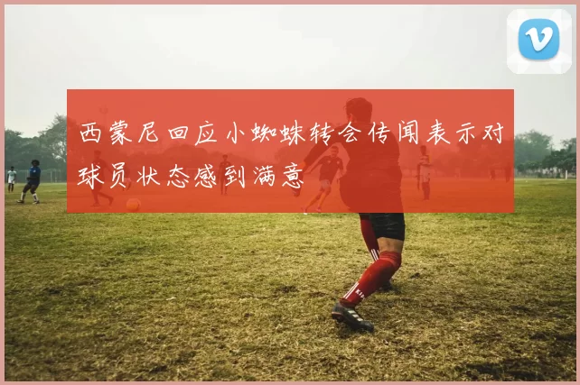 西蒙尼回应小蜘蛛转会传闻表示对球员状态感到满意