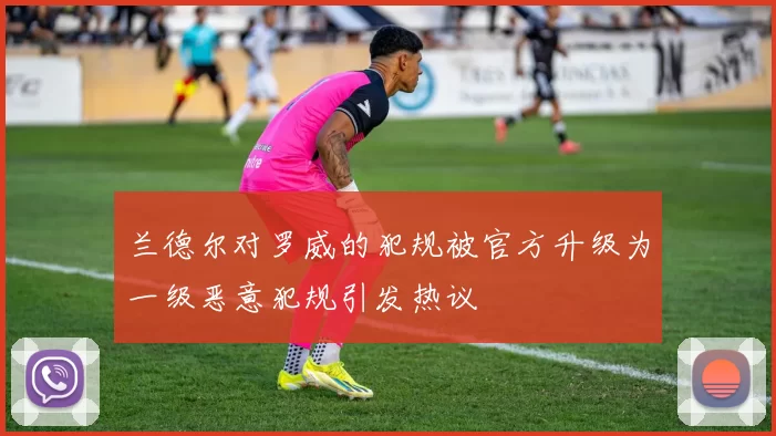 兰德尔对罗威的犯规被官方升级为一级恶意犯规引发热议