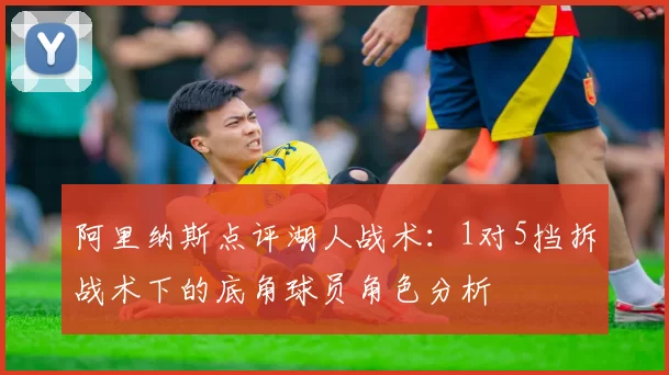 阿里纳斯点评湖人战术：1对5挡拆战术下的底角球员角色分析